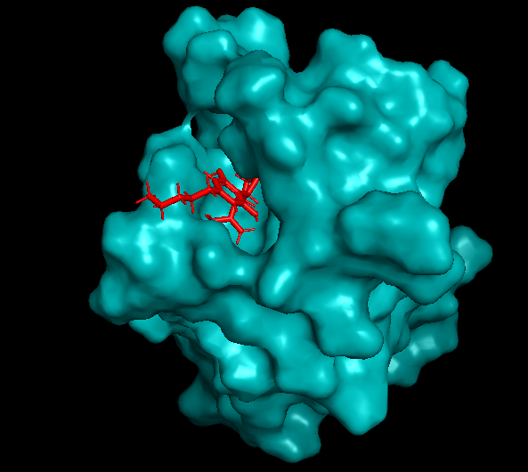 Immunosense